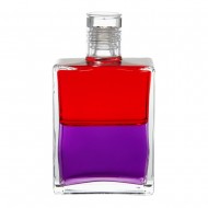 Aura Soma B19 Living In The Material World – Red / Purple (50ml